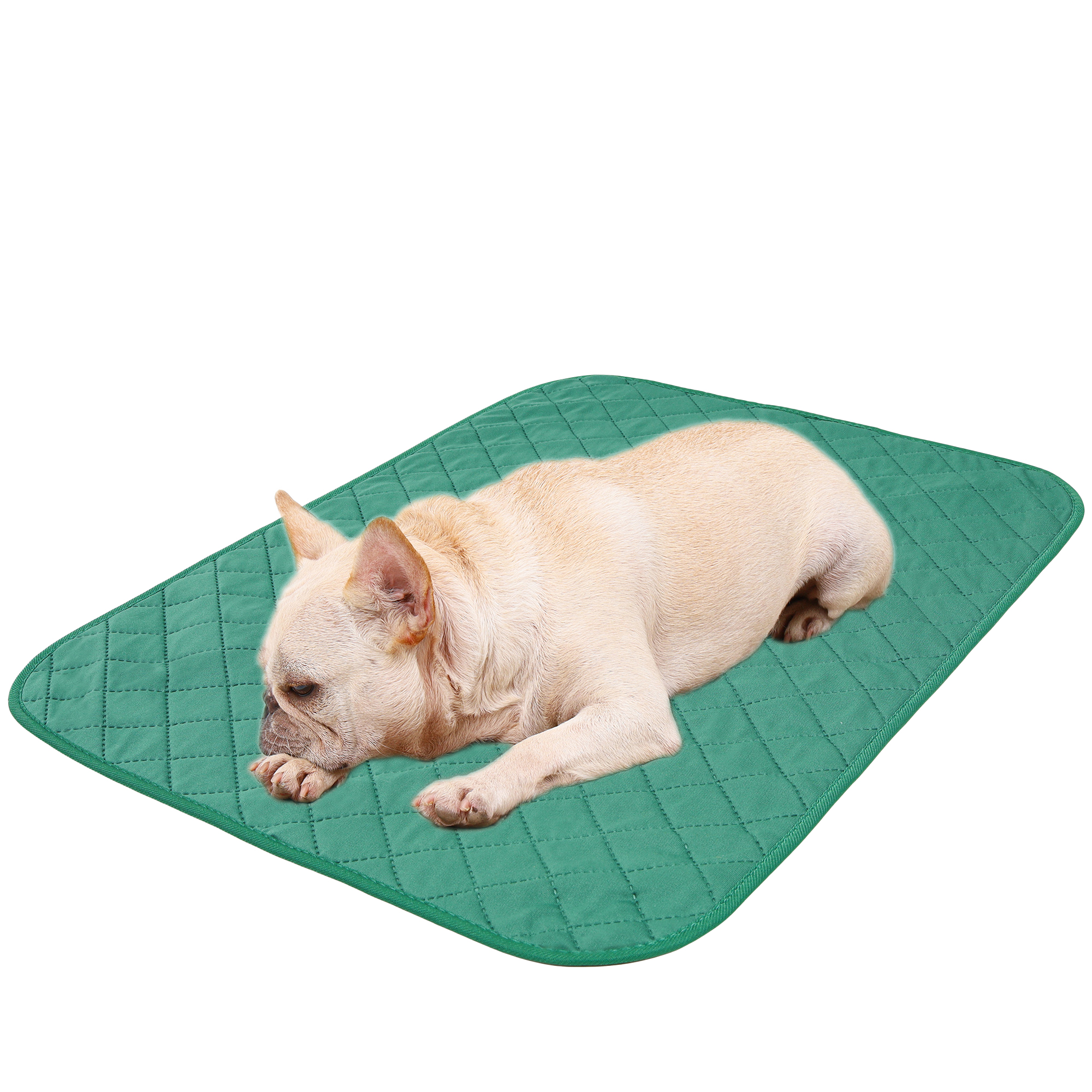 IDOMIK Dog Pee Pad Waterproof Pet Mat Washable Reusable Dog Training