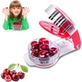 thumbnail image 1 of Cherry Pitter Tool Stainless Steel Cherry Pit Tool, Multiple Cherry Corer Stoner, 1 of 5