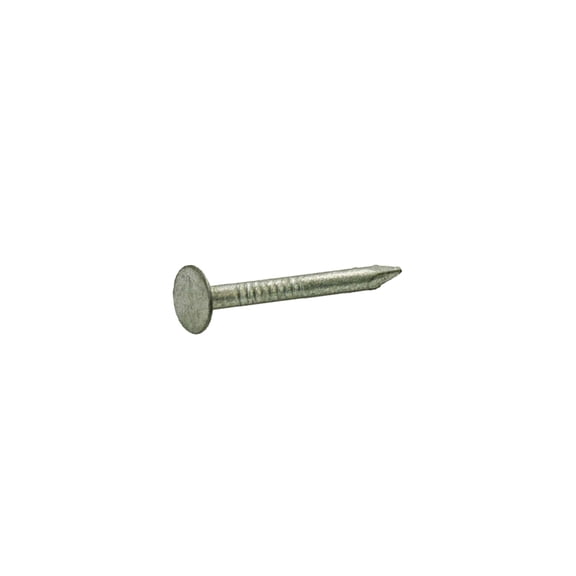 Grip-Rite 2 in. Roofing Hot-Dipped Galvanized Steel Nail Smooth Shank Flat 1 lb.
