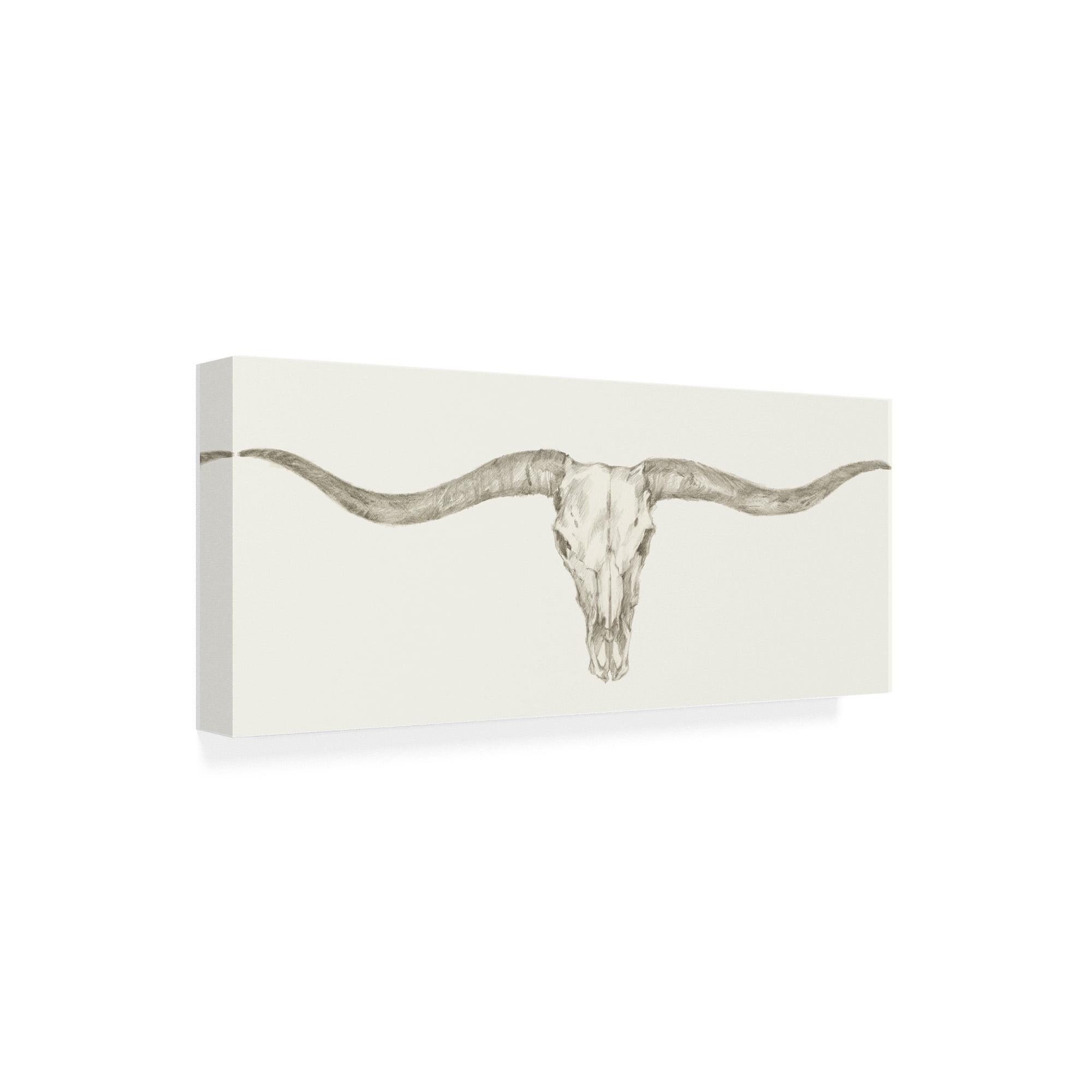 Trademark Fine Art 'Western Skull Mount III' Canvas Art by Ethan Harper