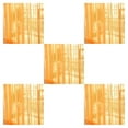 thumbnail image 1 of Decodeary Practical Sheer Curtain Combine Functionality And Beauty In Home Decor Unique And Eye-catching orange 5Set, 1 of 6