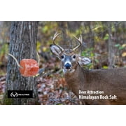 Realtree Himalayan Salt Lick Block Deer Attractant with Rope for Hanging, 4.4 lb Natural Pink Color