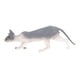 thumbnail image 4 of Cat Figurines, Environmental Protection Hairless Cat Model Small For Home Decoration For Kids Toy ANGGREK EE2013, 4 of 8