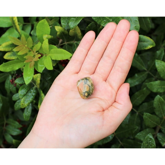 1 Large Rhyolite Tumbled Stone Crystal Healing (Rainforest Jasper)