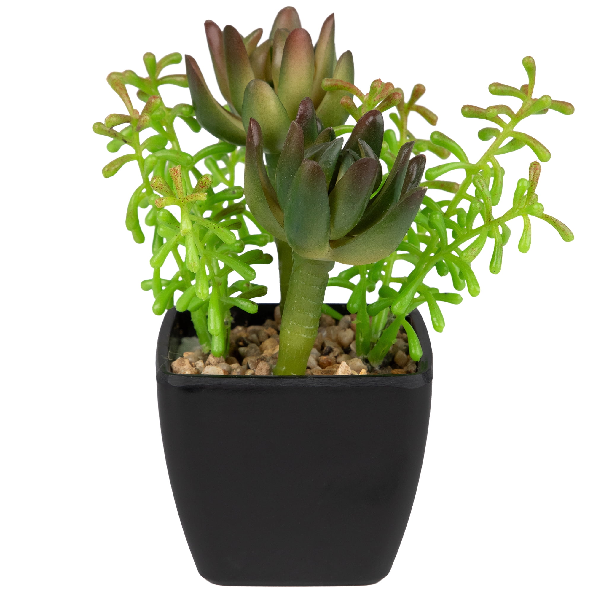 Northlight Potted Artificial Succulent Arrangement - 6"