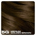 thumbnail image 2 of Clairol Nice'n Easy10 Permanent Hair Color Cream, 5G Medium Golden Brown, Hair Dye, 1 Application, 2 of 7