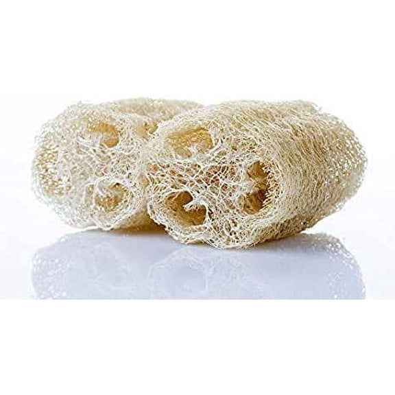 Loofah Gourd Seeds - 20 Seeds - Luffa Sponge Gourd, Exotic Vegetable, Easy to Grow. Made in USA, Ships from Iowa.