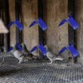 thumbnail image 5 of z 20 Pcs Dove Rest Stand, Lightweight Pigeon Perches Plastic Birds Roost Holder f54, 5 of 5