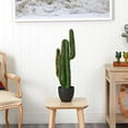 thumbnail image 2 of Nearly Natural 6328 3 ft. Cactus Artificial Plant, 2 of 3
