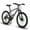 Gray, variant on 24 Inch Mountain Bike - Steel Frame Shimano 21 Speed Mountain Bicycle with Daul Disc Brakes and Front Suspension MTB