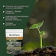 thumbnail image 2 of 2025 1-10 pcs Mycorrhizal Fungi Organic Root Enhancer, 2 of 3