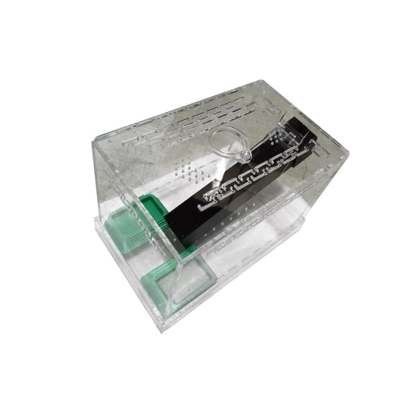 lanema Large Transparent Cricket Habitat Box Easy to Clean Detachable Base And Removable Lid For Home Use