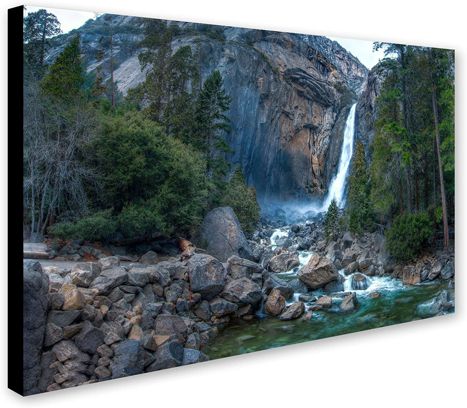 Trademark Fine Art "Yosemite National Park - California-IV" Canvas Art by David Ayash