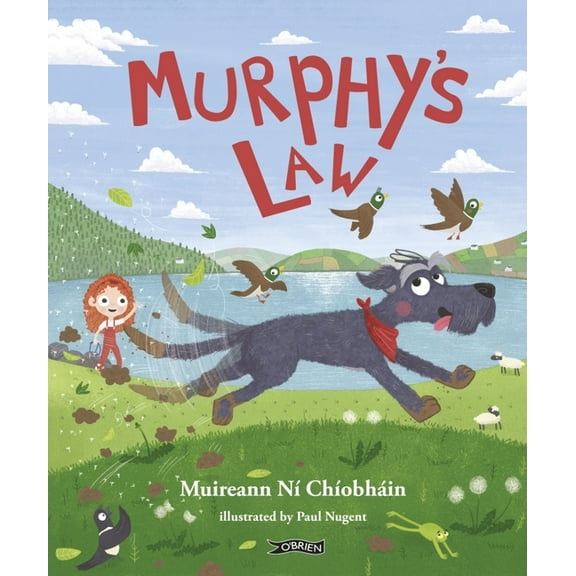 Murphy's Law (Hardcover)