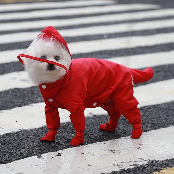 Pet Puppy Dog Raincoat With Hood,waterproof Dog Poncho Dog Rain Lightweight Jacket