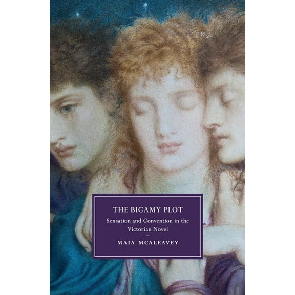 Cambridge Studies in Nineteenth-Century The Bigamy Plot, Book 100, (Paperback)