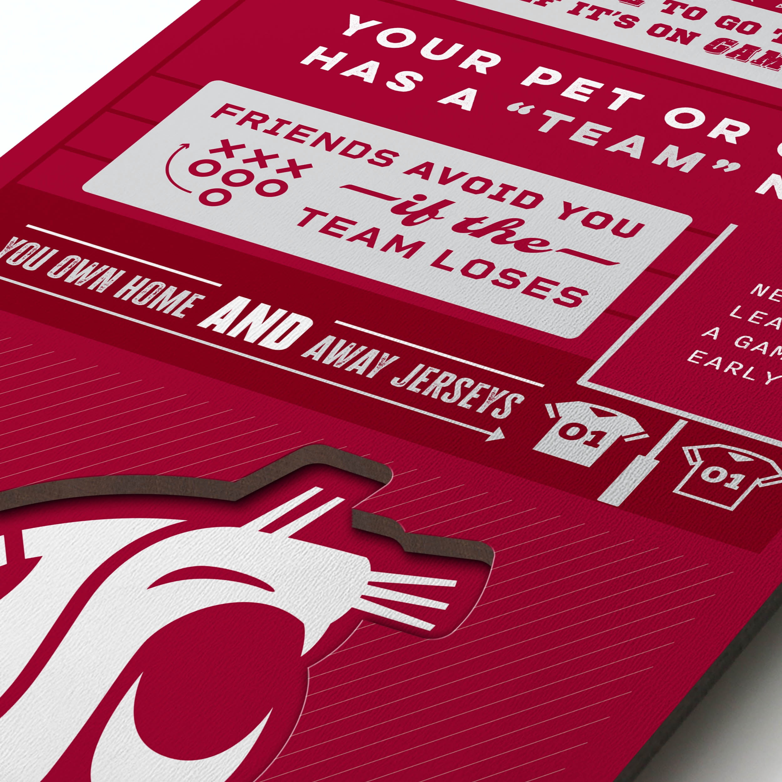 YouTheFan NCAA Washington State Cougars 3D Top 10 Wall Art
