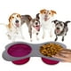 thumbnail image 1 of KE WOOW Juego de Platos Plegables KE WOOW Comederos de VIAJE para perros 1000 ml Rosa, 1 of 10