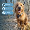 thumbnail image 2 of Arnés Best Pet Supplies, malla reflectante para todo clima, color gris L, 2 of 8