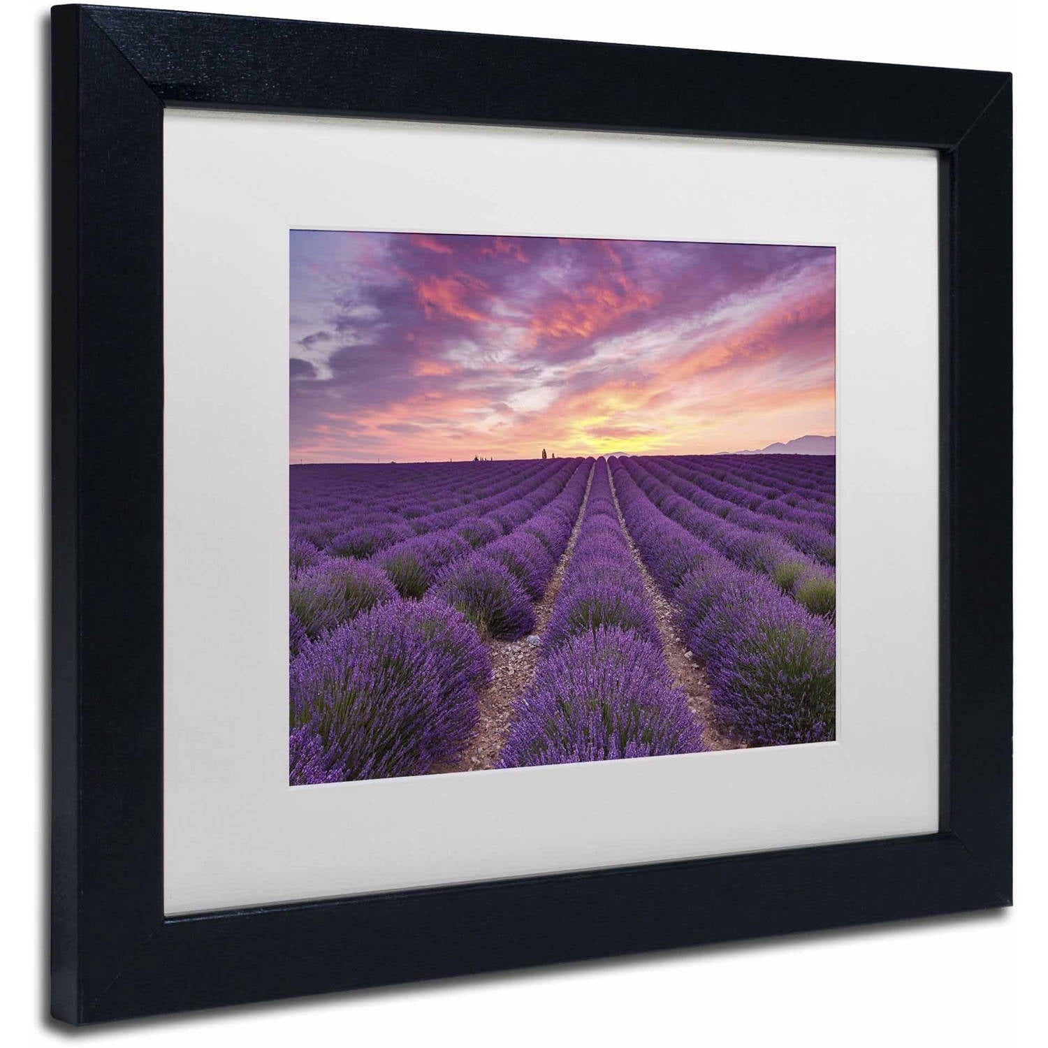 Trademark Fine Art 'Lavender Sunrise' Canvas Art by Michael Blanchette Photography, White Matte, Black Frame