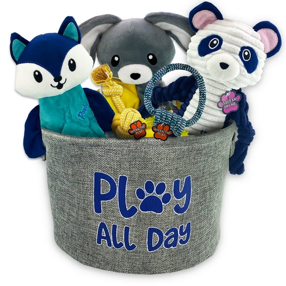 Pet Toy Boxes