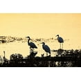 thumbnail image 2 of Hausenflock, Alan 14x11 Gold Ornate Wood Framed with Double Matting Museum Art Print Titled - Egrets in the Sunrise II, 2 of 4