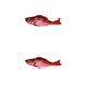 thumbnail image 4 of Bewildely Juguete para gatos, pez, carga eléctrica USB, simulación de baile, salto, pez disquete en movimiento, juguete para gatos, peces electrónicos Type2 NO2 Bewildely CBP114238, 4 of 5