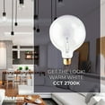thumbnail image 4 of Bulbrite  Pack of (12) Dimmable G40 Incandescent Light Bulbs with Medium (E26) Base, 2700K Warm White Light Clear 100 Watt, 4 of 4