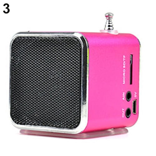 HEVIRGO Haut-Parleur Portable Rechargeable Micro SD TF Mini USB LED Lecteur de Musique Radio FM Stéréo