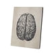 thumbnail image 3 of Bewildely Cartel de la imagen del aula del pasillo de la pintura de la estructura del cerebro con el marco Decoración del hogar, 3 of 6