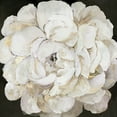thumbnail image 2 of Jensen, Asia 20x20 White Modern Wood Framed Museum Art Print Titled - White Peonia, 2 of 4