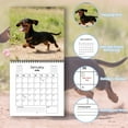 thumbnail image 6 of Beagle Activities 2026 Calendar - Monthly Wall Calendar With Adorable Beagle Dog Illustrations, Spiral Binding For Easy Hanging - For Dog Lovers, Home Office Decor, Daily Schedule, 6 of 6