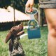 thumbnail image 4 of USHOBE Recogedor De Excrementos Para Perros Con Mango Y Material Para Casa, 4 of 8