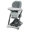 Graco Blossom LX 6 in 1 Convertible High Chair, Raleigh