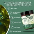 thumbnail image 4 of Sea Moss Gummies - 16-in-1 Formula - with Black Seed Oil, Ashwagandha, Bladder Wrack, Apple Cider Vinegar - for Men & Women - 60 Gummies, 4 of 6