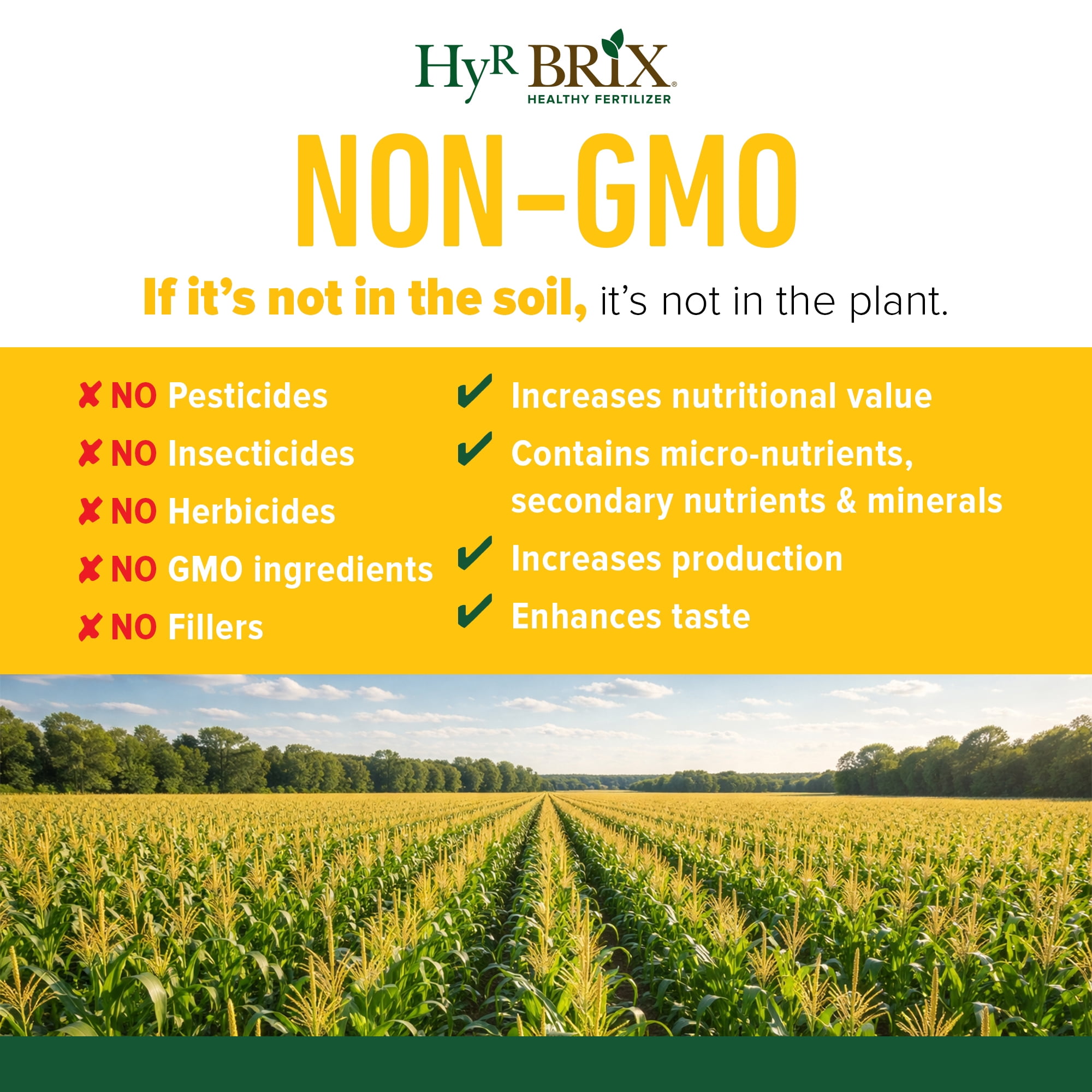 Hyr Brix Sweet Corn Fertilizer