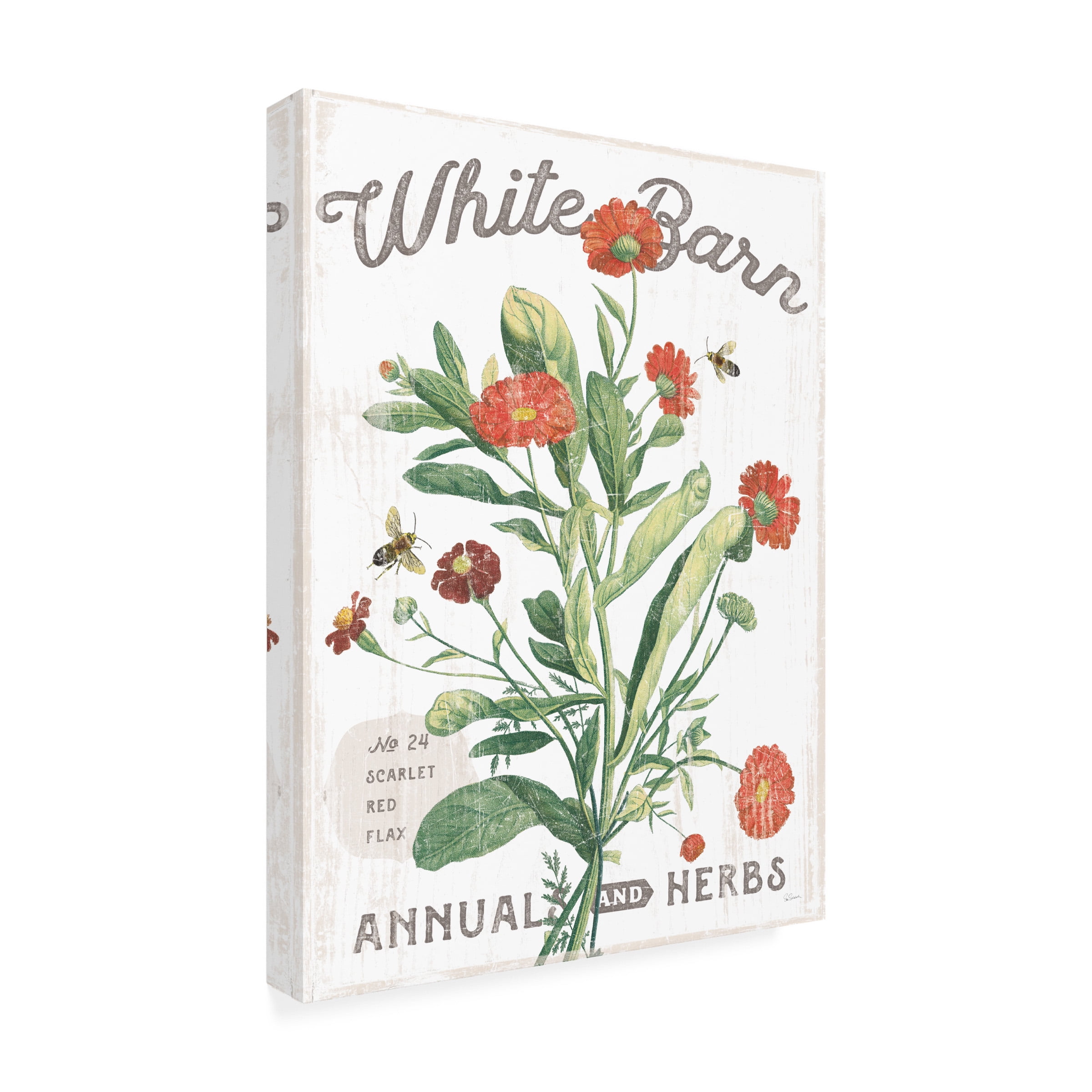 Trademark Fine Art 'White Barn Flowers IV' Canvas Art by Sue Schlabach