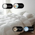 thumbnail image 4 of Royal Luxe Goose Feather Down Fiber Comforter All Season Comforter - Twin Size Duvet Insert, 68”x88”, 4 of 7