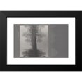 thumbnail image 2 of Peter Pettus 14x11 Black Modern Framed Museum Art Print Titled - In Natural Light (1966), 2 of 5