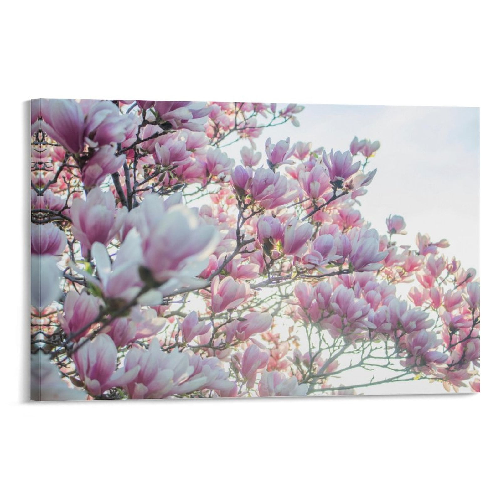 Pink Cherry Blossom Picture Canvas Wall Art Decor, Modern Home Wall Decor  Stretched and Framed Ready to Hang