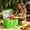Green, variant on JZCHUNTOY Insulated Cooler Bag, Leakproof Reusable Lunch Tote, Portable Thermal Food Storage Bag for Outdoor Picnic, Camping, Office Travel to Keep Hot and Cold Food Fresh
