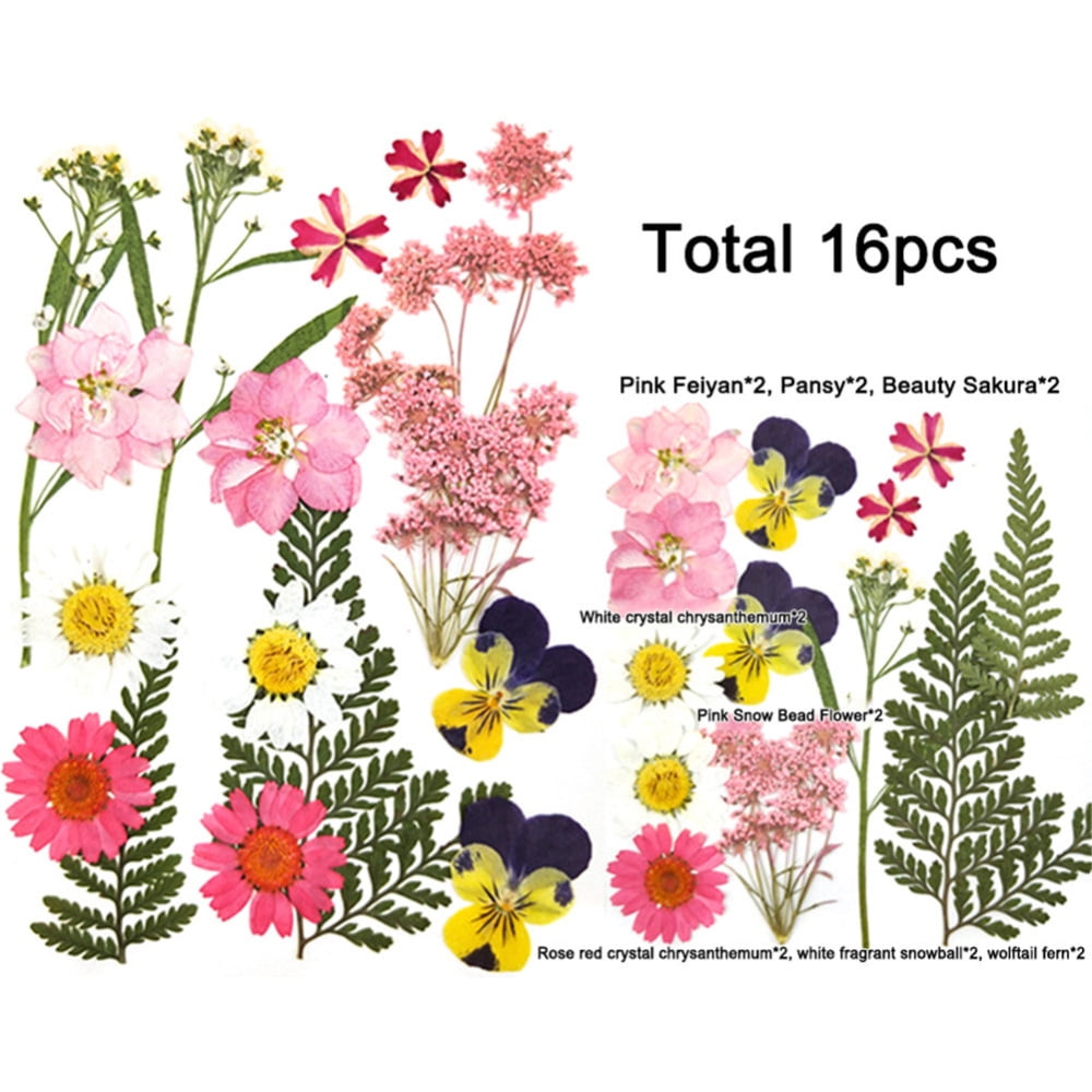 A Pack of 16pcs Dried Pressed Flowers For Crafts, Pressed Flowers