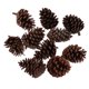 thumbnail image 3 of 20x Conos De Pino Secos Naturales Relleno De Florero Grande Decoración De De, 3 of 9