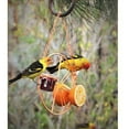 thumbnail image 5 of Oriole Bird Feeder, 17 inch Hanging Metal Bird Feeder,Detached Bowl Design,Orange Fruit Feeder,Great for Garden,Outdoor,Gift, 5 of 7