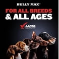 thumbnail image 4 of Dog Vitamins Bully Max Power Tabs, constructor muscular 2 en 1, 4 of 7