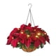 thumbnail image 4 of Cesta artificiales Poinsettia artificial LED con luces de cadena Zulema Cesta colgante, 4 of 7