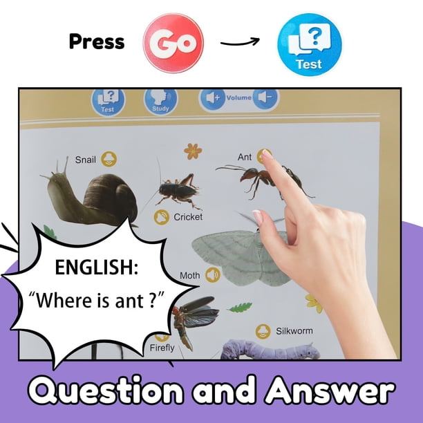 Livre Parlant Anglais pour - Activités Interactives de Parole | Livres Sonores pour | Cadeau pour Garçons et Filles de 2 à 6 Ans Maternelle