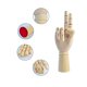 thumbnail image 2 of Mano de madera realista con dedos flexibles, modelo articulado, mano de maniquí, modelo de mano de artista seccionado oponible para dibujo artístico, derecha, 2 of 5