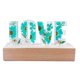 thumbnail image 1 of Lámpara de Flores Secas LED Luz de Noche para Decoración Día de San Valentín - Verde Sunnimix Luz de noche de amor, 1 of 8