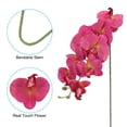thumbnail image 3 of Uxcell 41" 9 Heads Artificial Orchid Stems Fake Faux Phalaenopsis for Vase Home Wedding Decoration, Magenta 3 Pack, 3 of 5
